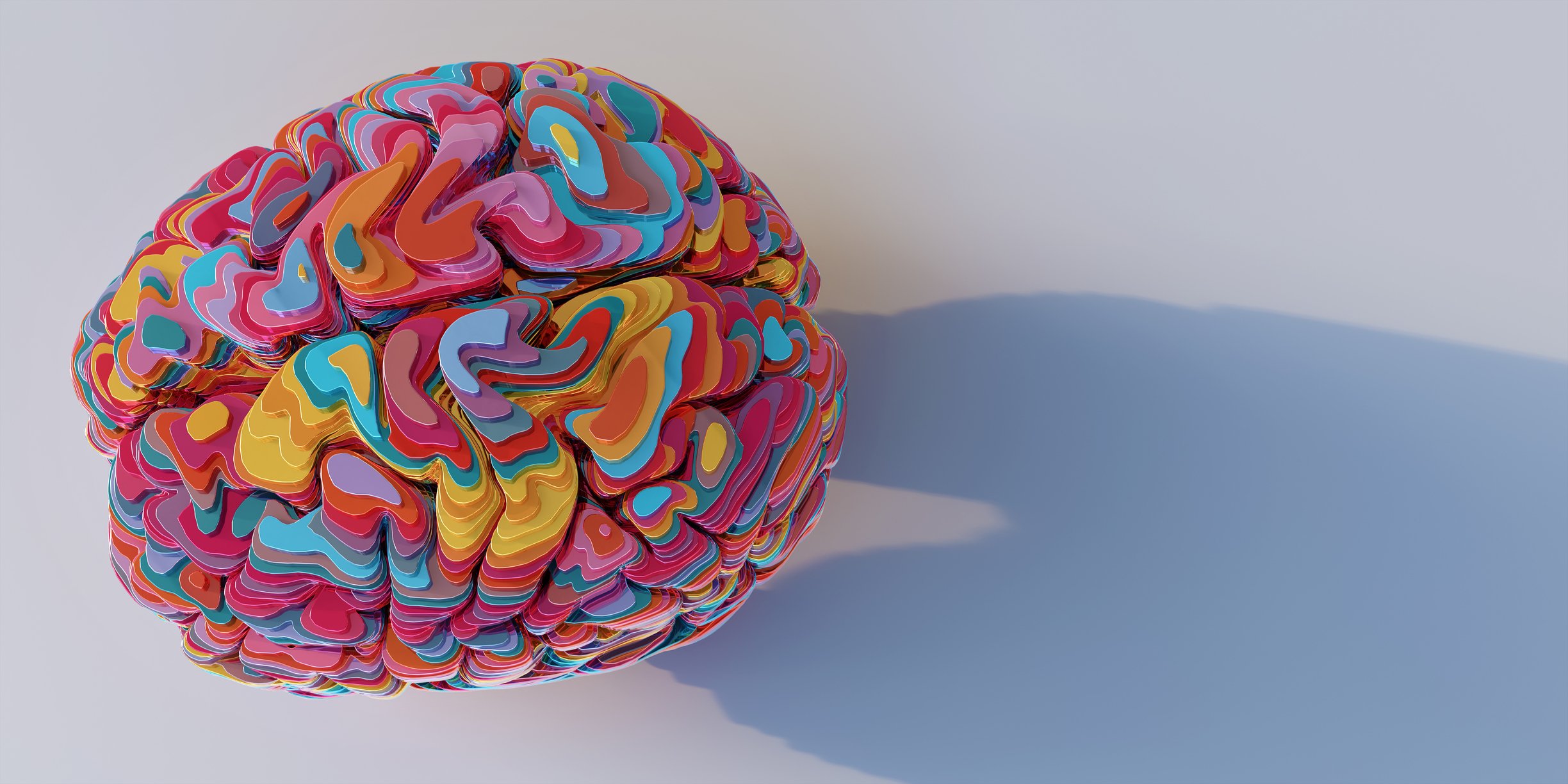 Image of a manually made brain that is maid with different layers and differente colors